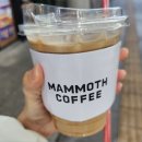 스페셜리티커피 이미지