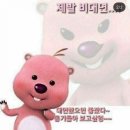 포차 막걸리한잔 이미지