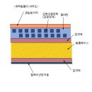 제13강 컬러사진의 기초-흑백필름,컬러필름 이미지