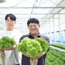 마진농장 이미지