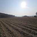 현산면사무소 이미지