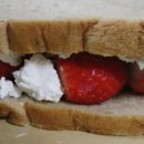 안터원목장 이미지