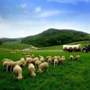 하늘목장 이미지