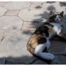 아기누리 이미지