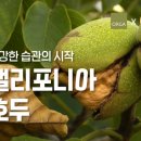 호두모바일 이미지