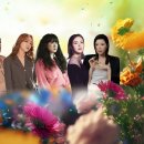 신화K 이미지