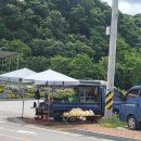 강진면사무소 이미지