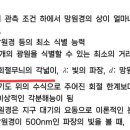 회절무늬의 각넓이 이미지