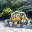 CU 동해천곡샘실점 | 천곡황금박쥐동굴 동해시 아이와 놀러가기 좋은 강원도 동굴 무료주차 정보