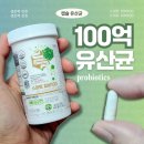 태경가스기술(주) - 15898 | 유산균영양제 유산균캡슐 VS 가루 뭐 먹지? 비타스프링 스마트 피비 메타 프로바이오틱스 001 후기