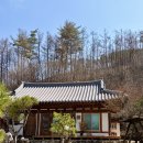 원주고니골황토펜션 | 강원도 촌캉스 숙소 솥뚜껑 바베큐 원주 소원재 펜션