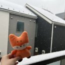RE : 🌰❤️❣️ 도쿄도 밖에 눈온다. (이번 겨울 처음!!) 이미지