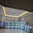 소노펠리체 델피노 이미지