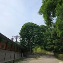 경덕한의원 | 도심 한가운데 조용하고 아름다운 고궁 경희궁