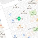 울산고양이분양 모나미네코 울산본점 이미지