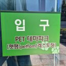 펫팸푸드 이미지