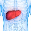 개선헬스클럽 이미지