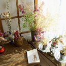 시골상회 이미지