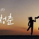 청춘식품 이미지