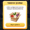 [올팜수확] 8번째 컴포즈 커피 수확 후기(feat. 올목장)