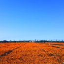 신천목장 이미지