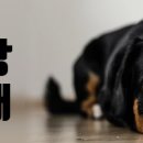 우노펜션 이미지