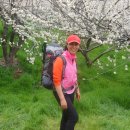 대장농원 이미지