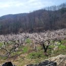 도고농장 이미지