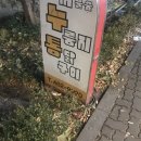 제이링커스 | 서울) 서울숲 누룽지 통닭구이, 성수(뚝섬) 블루보틀, 온고지신, 기절초풍왕순대