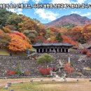 삼성궁 이미지