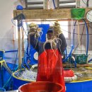 백미리자율관리공동체 영어조합법인 이미지