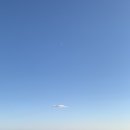 독도식당 이미지