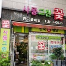 사동그린꽃 이미지