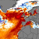 북대서양서 이상한 해양열파, '전대미문' 이미지