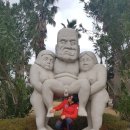 건강과 성 박물관 이미지