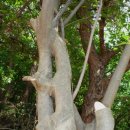 설천면116 이미지