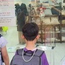 디자이너스소잉