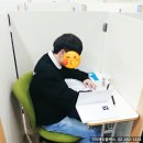 주니메타