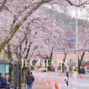 내용 다기능회관 | 충북 제천 가볼만한곳 청풍호 벚꽃축제 청풍호반 케이블카 실시간 후기