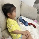 첨이첨이팬티 vs 오가닉맘팬티 55사이즈 비교 | 유아배변훈련 팬티 추천
