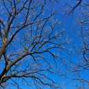 비로소, 겨울 하늘 이미지