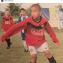 그린우드 이미지