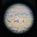 철물세상 - 제주시 하귀10길 2 | 철물세상