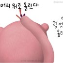 본비케이크
