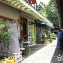 방천시장 이미지