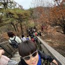 용인대 경일태권도 이미지