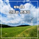 백두목장 | 평창 여행 선자령 트레킹- 저질 체력 엄마와 초딩 딸이 함께 오른 백두대간