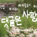 비타민과일촌