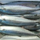 클락짐 공덕점 이미지