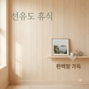 편백나무펜션 | "자다가 편백 향에 취했어요".. 선유도편백나무펜션 88명이 입 모아 칭찬한 이유